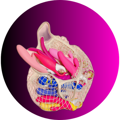 Acessórios